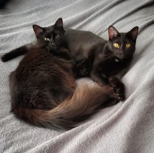 Meet your Posher, Mary ann